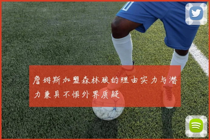 詹姆斯加盟森林狼的理由实力与潜力兼具不惧外界质疑