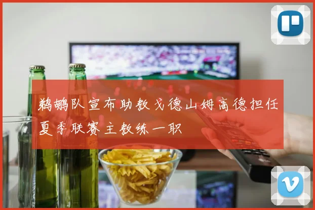 鹈鹕队宣布助教戈德山姆高德担任夏季联赛主教练一职